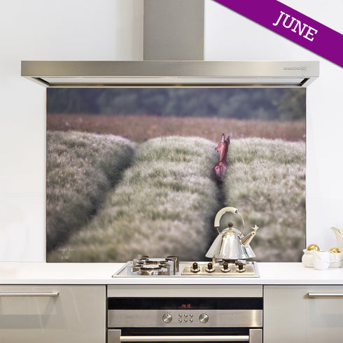 Deer Track - Limited Edition Splashback (June 22)